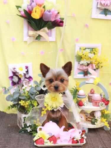 20230318メイちゃん